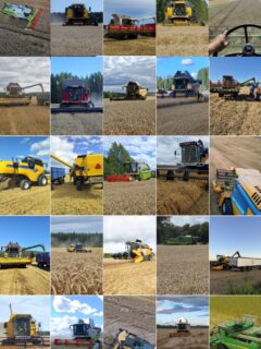 Millä merkillä kisalohkot korjattiin? Ehdottomasti yleisin oli New Holland (10/25), seuraavaksi tuli Claas (6/25), sitten Sampo (5/25), JD (3/25) ja yksi Massey Ferguson. Kisan perinteinen ja kiihkeä puimurikeskustelu on käynnissä kisaryhmässä. Satokisaamisen yksi anti on se, kun jaetaan kokemuksia koneista, lajikkeista, tuotantopanoksista ja vaikka mistä. #satokisa2026