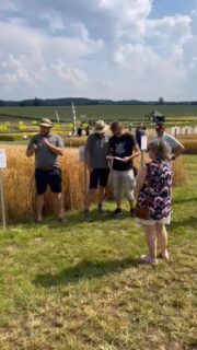 Sitten on vuorossa #mehu - joukkueen #KMRuutukisa -valinnat. Lajike on Ibarra. #hauhonpeltopäivä @lantmannenagro