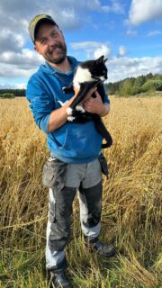 KM kävi seuraamassa puintien alkua Kouvolan Oravalassa Tommi Hasun luona. Proxy-luomukauran puintikosteus oli 15 % kieppeillä. Satoa tuli parhaissa paikoissa jopa 7 tn, ja keskisatokin tällä joenrantapellolla oli viiden tonnin hujakoilla. Kaura menee Helsingin myllylle. Video on kuvattu 20.8.2025. @tommihasu @myllarin @agcosuomioy