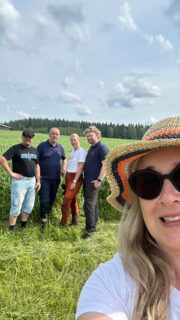 Petri Herttuainen jyräsi Lempi-herneensä taimivaiheessa. @peltosiemen Video on kuvattu 22.7.2025 Mikkelissä.