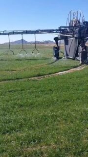 Tältä näyttää sadetusrobotti arizonalaisella maatilalla Yhdysvalloissa. Näitä on yhteensä viisi kappaletta ja ne on kahden tilan kimppakoneet. Kaikki toimii kyseisessä laitteistossa automaattisesti ja täsmänä. Tästä syystä osa suuttimista on suljettuina (eivät siis ole tukossa). Tästä tulossa lisää kevään KM-numeroihin, jahka @jussila.samuel palaa Amerikan kiertueeltaan takaisin Suomeen. Samuel on kiertänyt Amerikan halki, vieraillut usealla maatilalla ja suuressa maatalousnäyttelyssä. #kastelu #sadetus