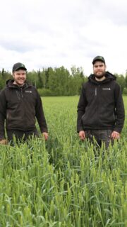 Veljekset Olli-Pekka ja Veli-Mikko Veikkolin osallistuvat satokisaan luomu-Urholla, jonka esikasvi on syysvehnä. Lannoituksena on biokaasulaitoksen liete syksyllä ja keväällä. Liete levitettiin huhtikuussa kerralla, ja toukokuun alussa sadetettiin kerran. Salon Kiikalassa kevät oli kuiva, ja sadetuksella saatiin selvä hyöty. Urho on kylvetty syyskuun kuudes päivä. Tarkoitus oli osallistua Informerilla, mutta se ei selvinnyt talvesta. #satokisa2026 #syysvehnäkisa Video on kuvattu 17.6.