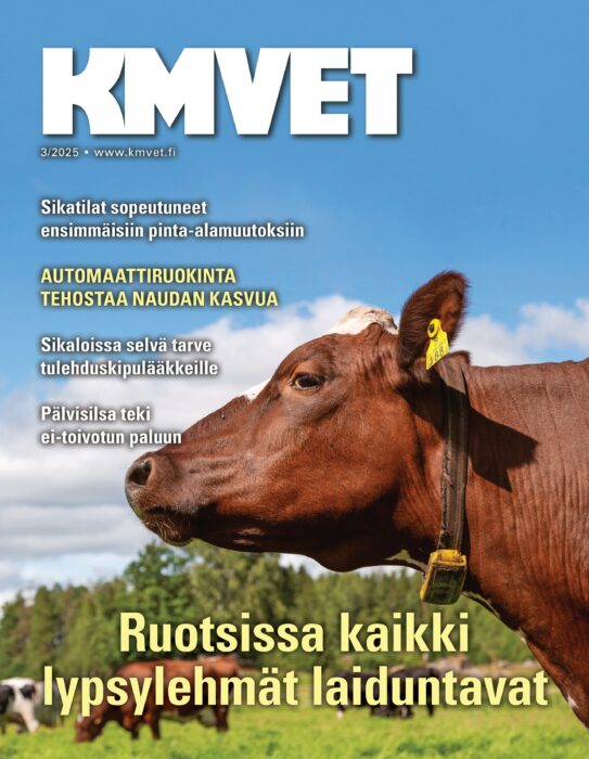 Uusin näköislehti