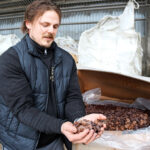 Pihaviri&auml; Oy on yksi Suomen seitsem&auml;st&auml; suklaahiehoja kasvattavasta tilasta. Maistuva hiehosuklaa syntyy makeisteollisuuden sivuvirtana.