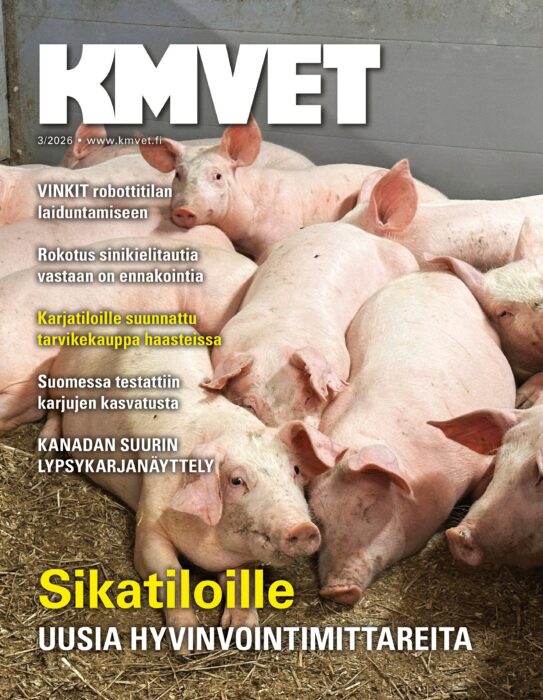 Uusin näköislehti