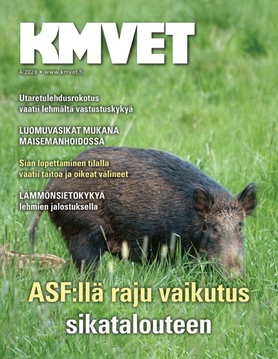 Uusin näköislehti