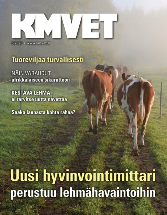 Uusin näköislehti